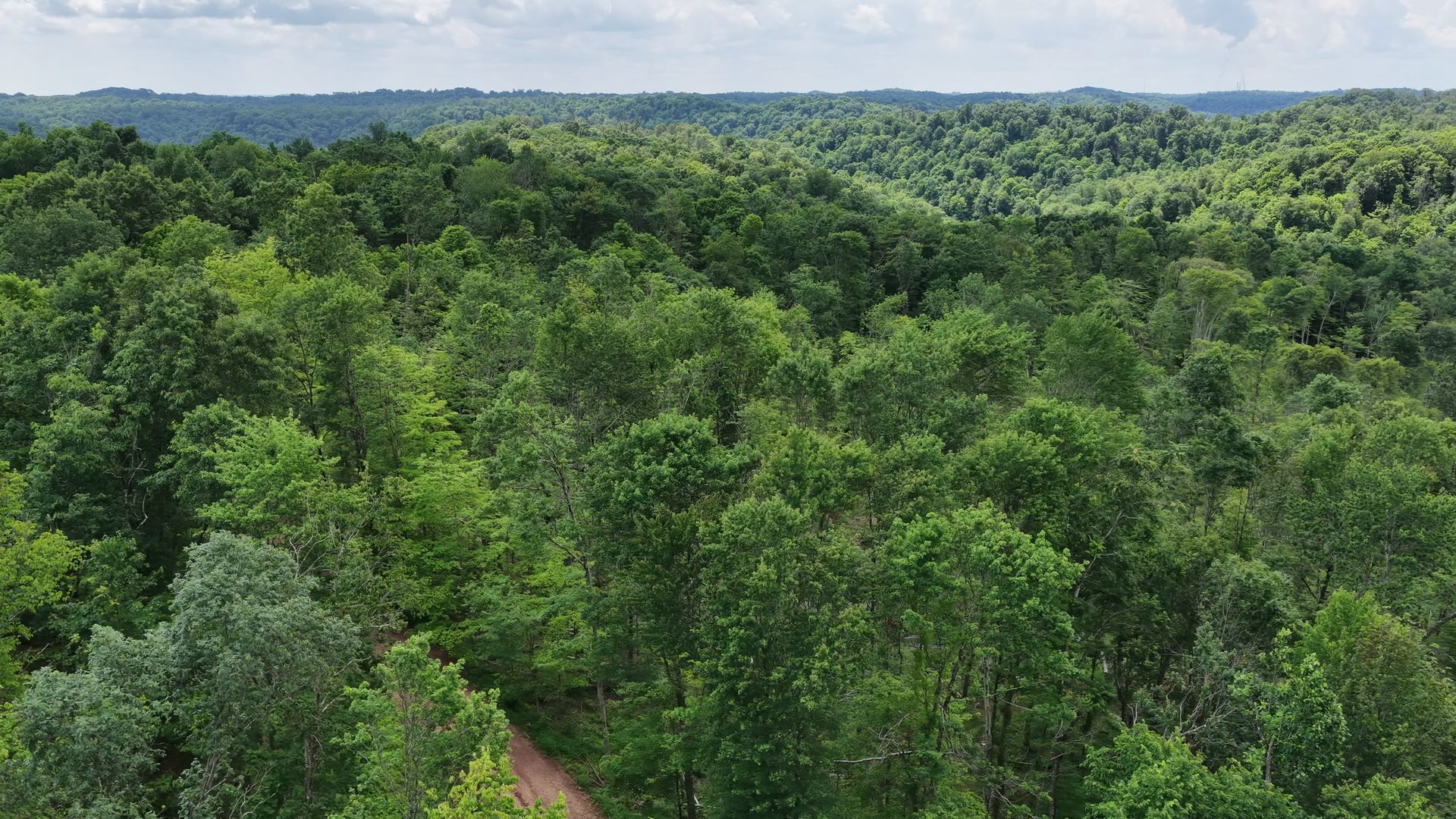 18 Acres Bordering Wayne National Forest in Washington County, OH - Shay Ridge Road Tract 9 - Photo 17