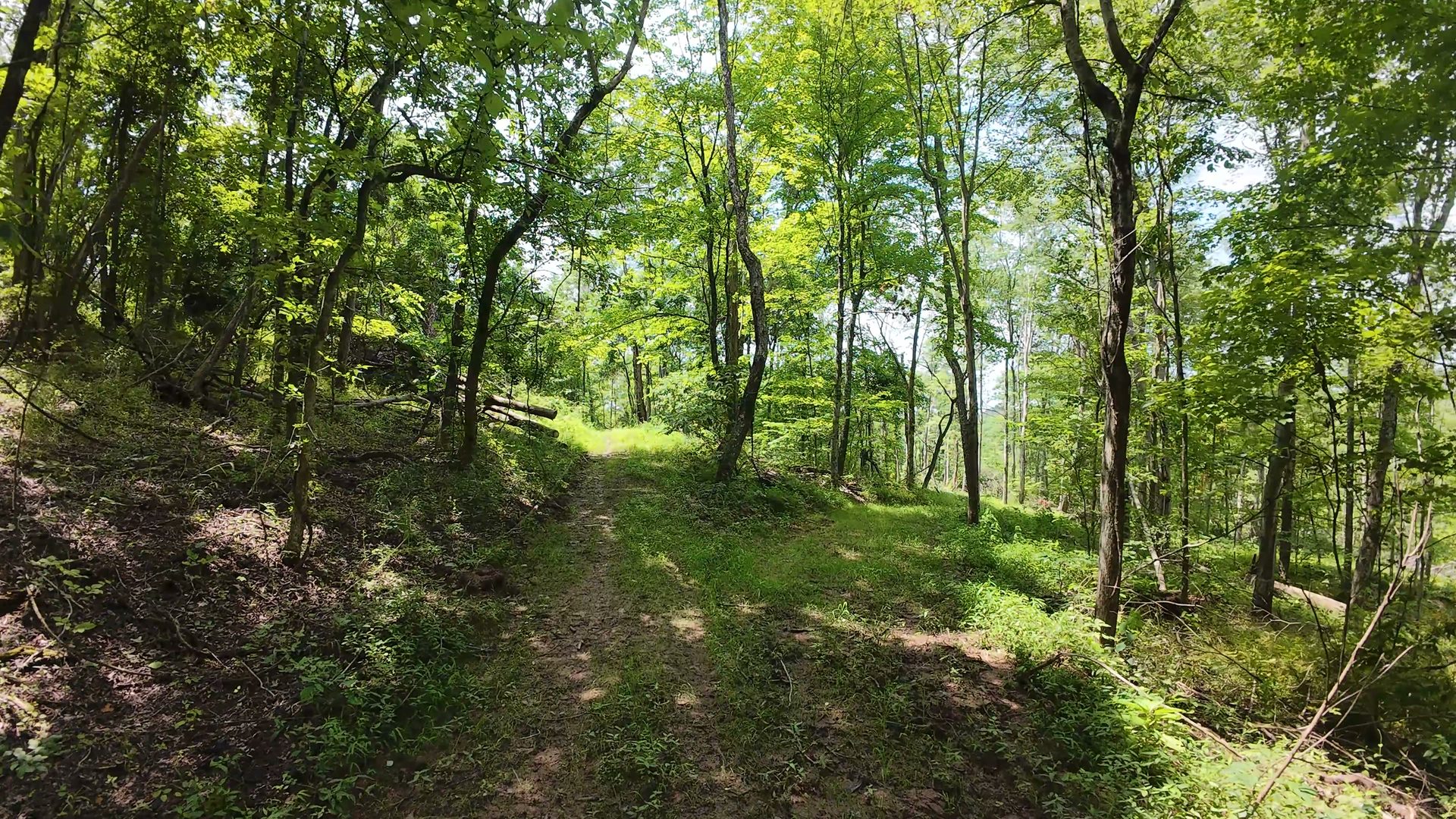 18 Acres Bordering Wayne National Forest in Washington County, OH - Shay Ridge Road Tract 9 - Photo 18
