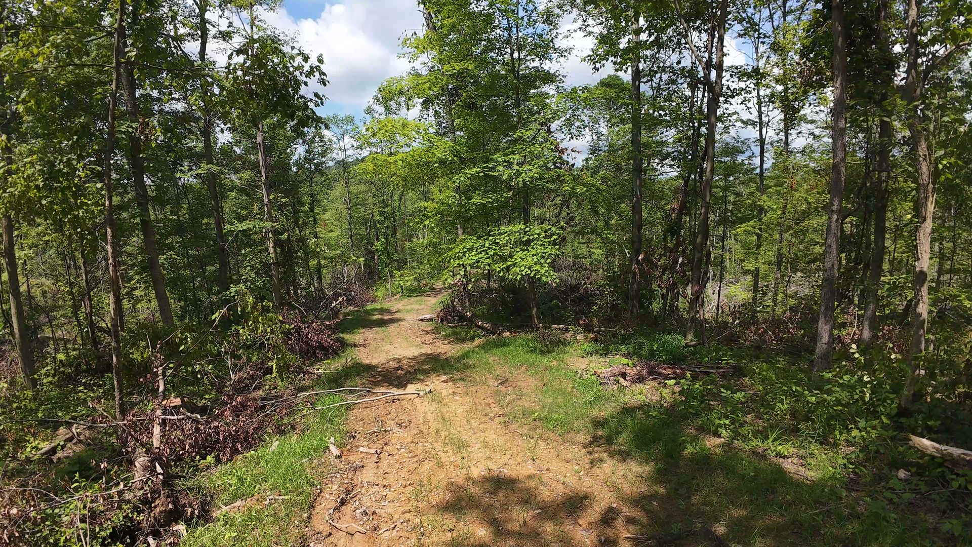 18 Acres Bordering Wayne National Forest in Washington County, OH - Shay Ridge Road Tract 9 - Photo 20