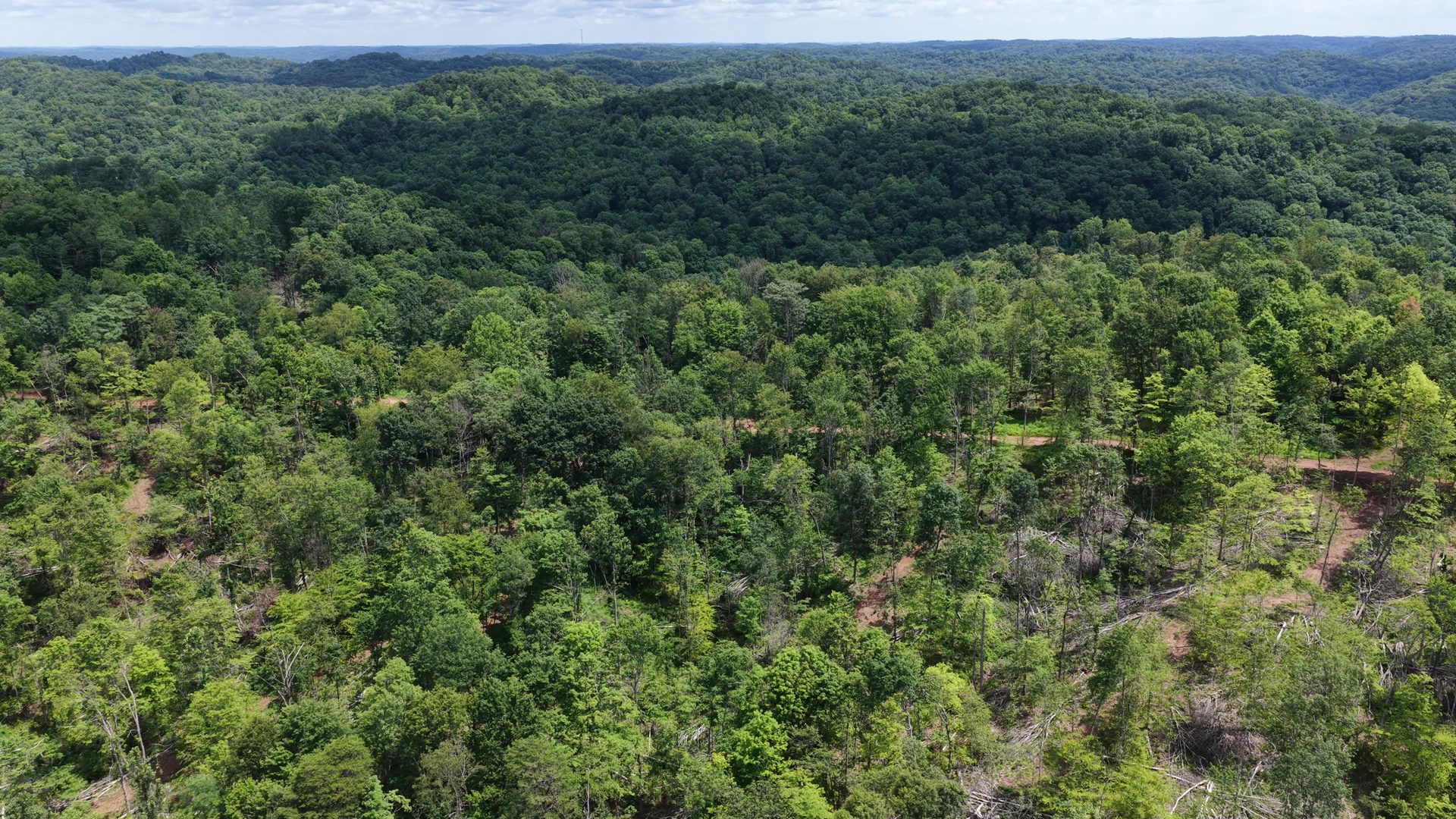 18 Acres Bordering Wayne National Forest in Washington County, OH - Shay Ridge Road Tract 9 - Photo 3