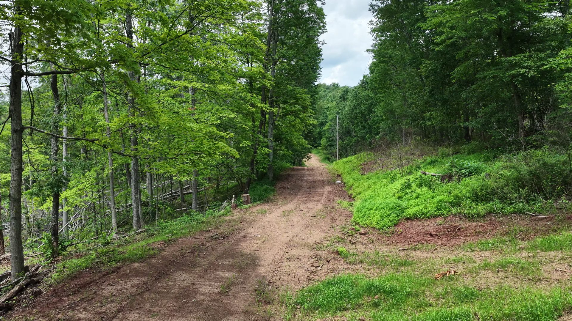 18 Acres Bordering Wayne National Forest in Washington County, OH - Shay Ridge Road Tract 9 - Photo 21