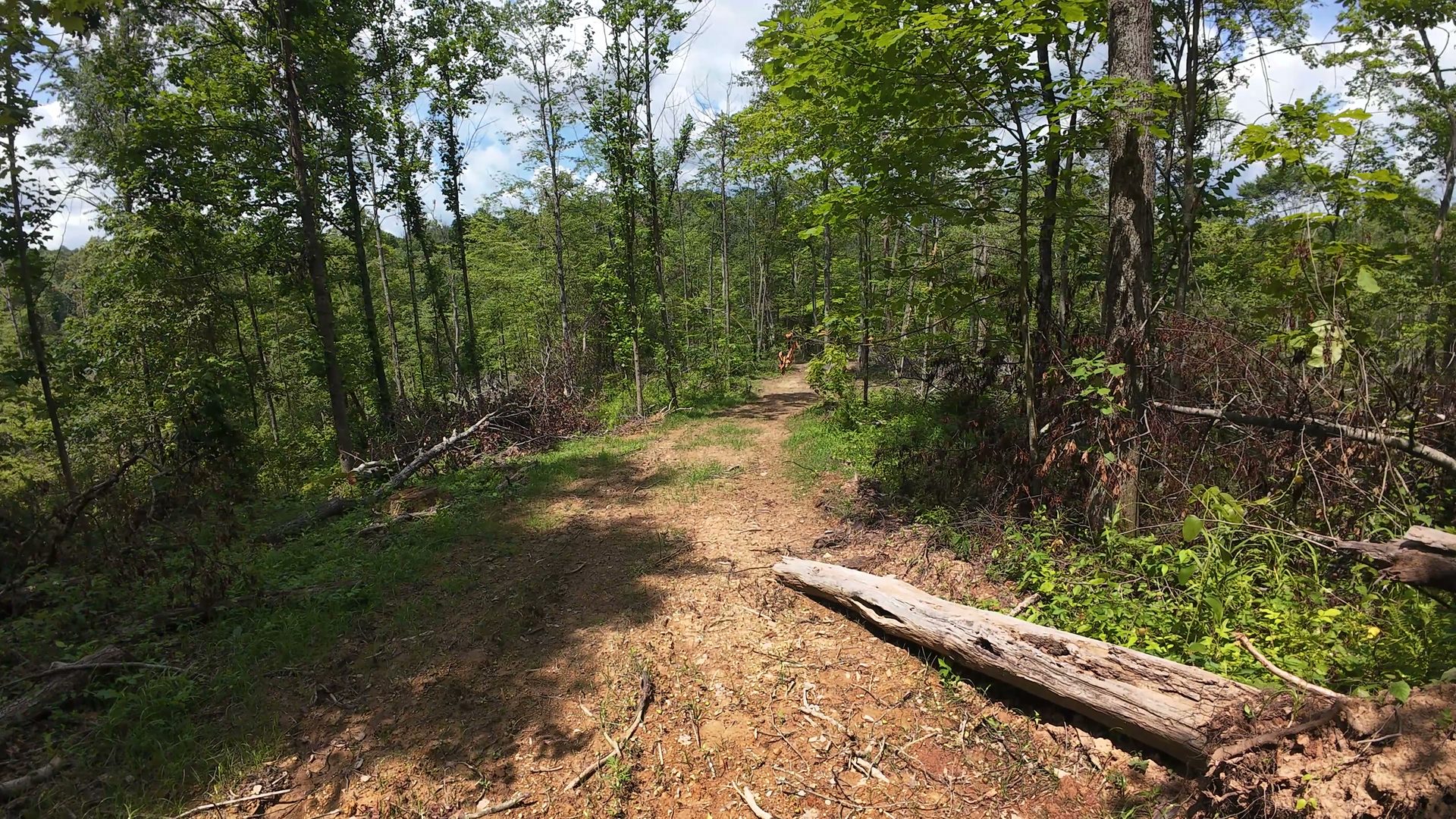 18 Acres Bordering Wayne National Forest in Washington County, OH - Shay Ridge Road Tract 9 - Photo 25
