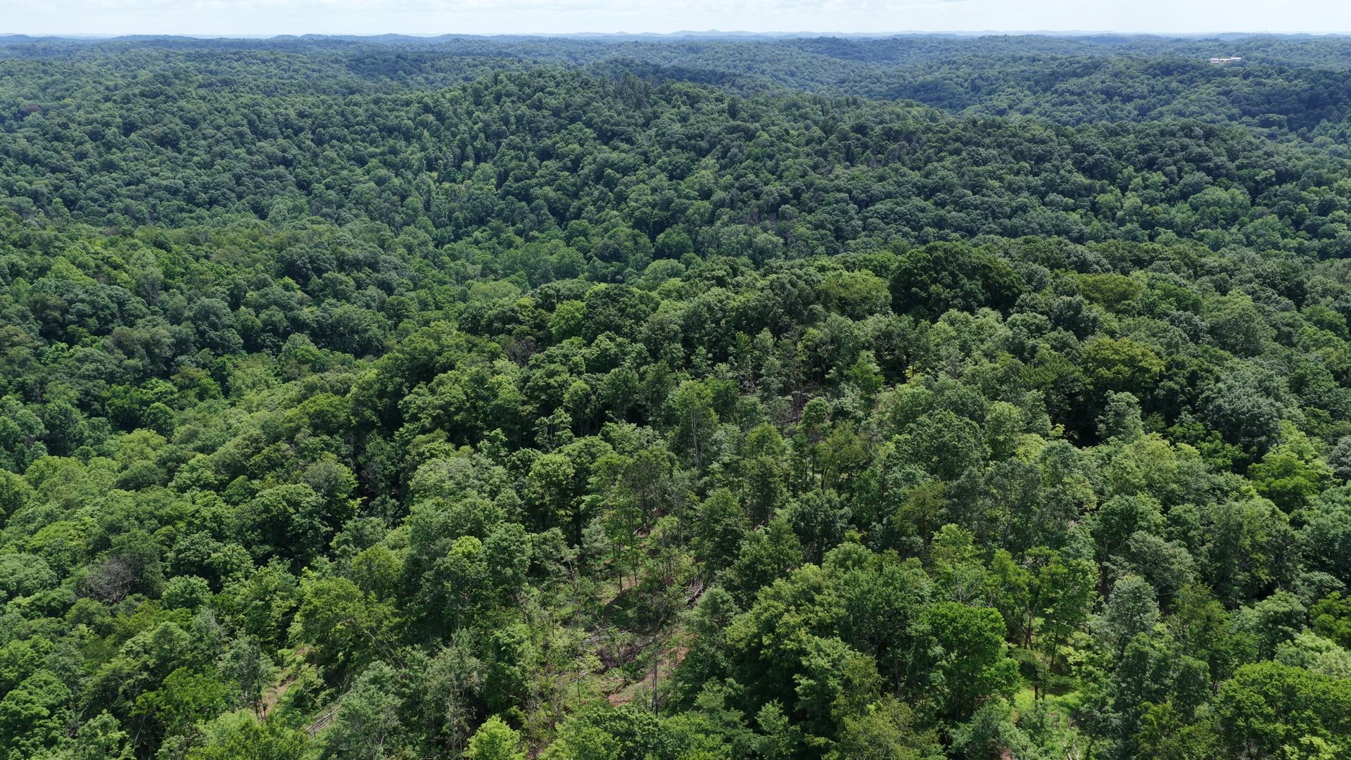 18 Acres Bordering Wayne National Forest in Washington County, OH - Shay Ridge Road Tract 9 - Photo 4