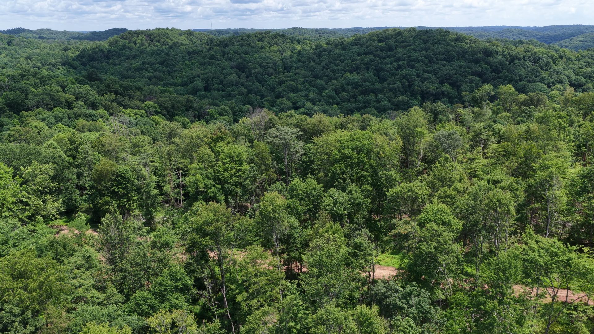 18 Acres Bordering Wayne National Forest in Washington County, OH - Shay Ridge Road Tract 9 - Photo 10