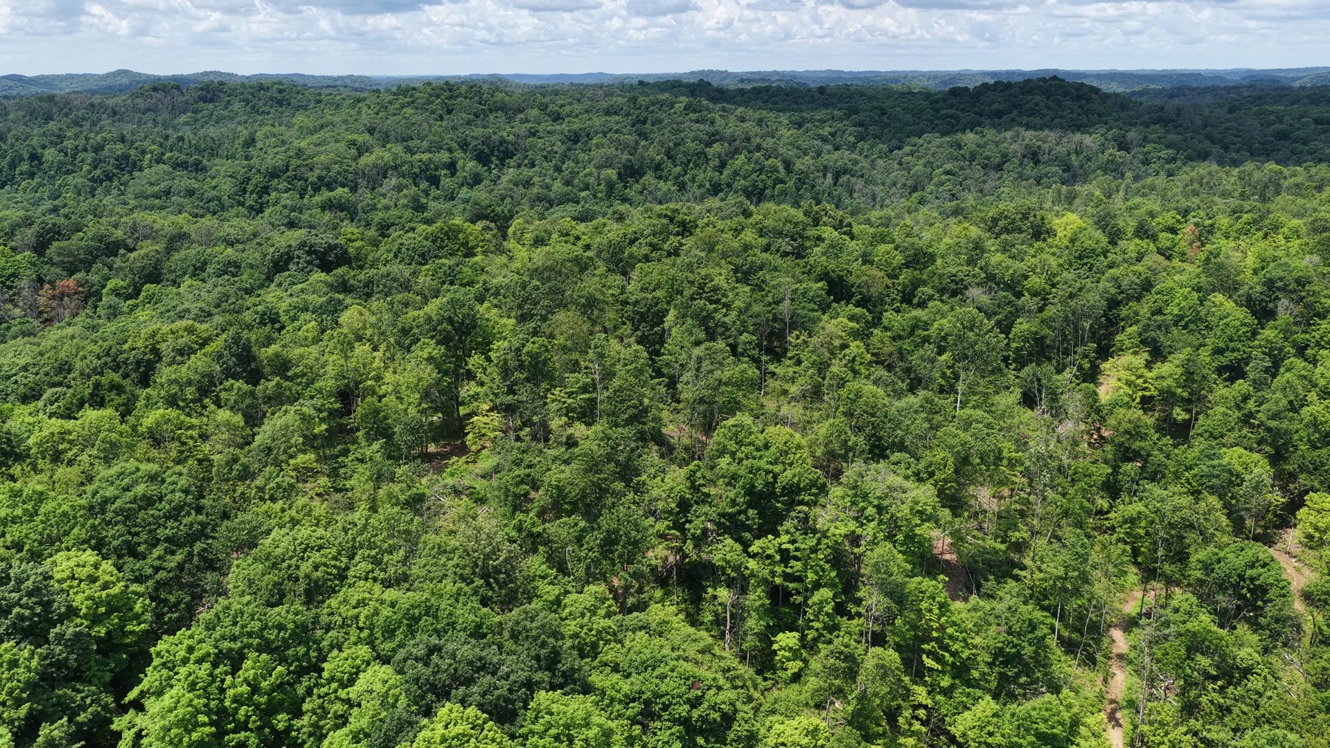 18 Acres Bordering Wayne National Forest in Washington County, OH - Shay Ridge Road Tract 9 - Photo 1