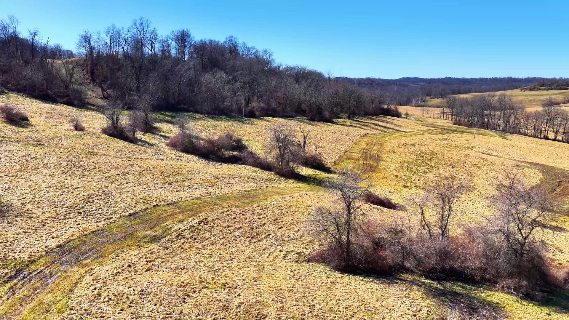 0 SR 376 Tract 3 - 19 Acres in Morgan County, OH - Photo 4