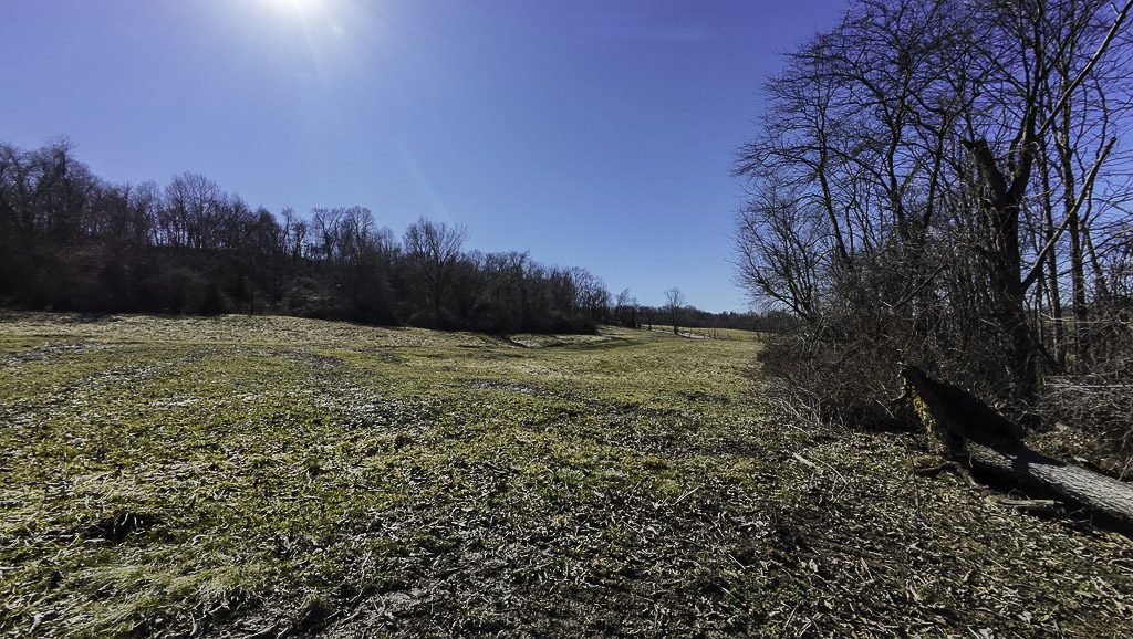 0 SR 376 Tract 3 - 19 Acres in Morgan County, OH - Photo 9