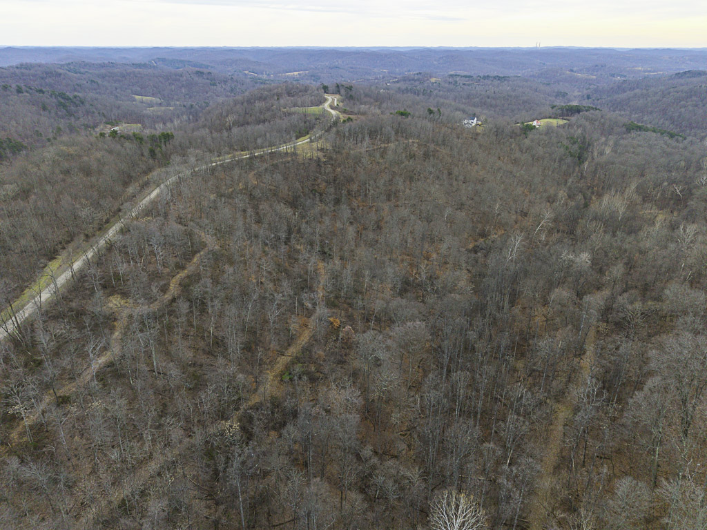 19 Acres in Washington County, Ohio - Reed Road - Photo 11