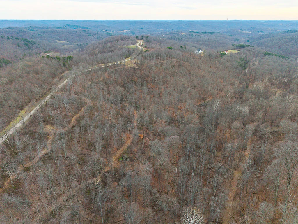 19 Acres in Washington County, Ohio - Reed Road - Photo 11