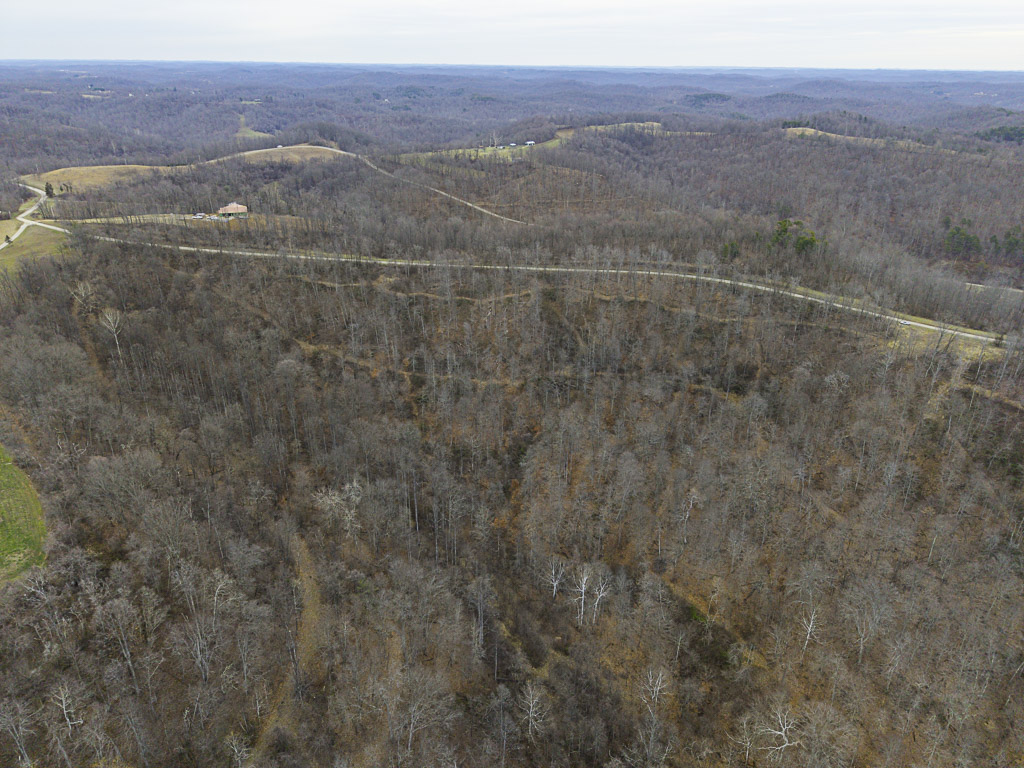 19 Acres in Washington County, Ohio - Reed Road - Photo 12