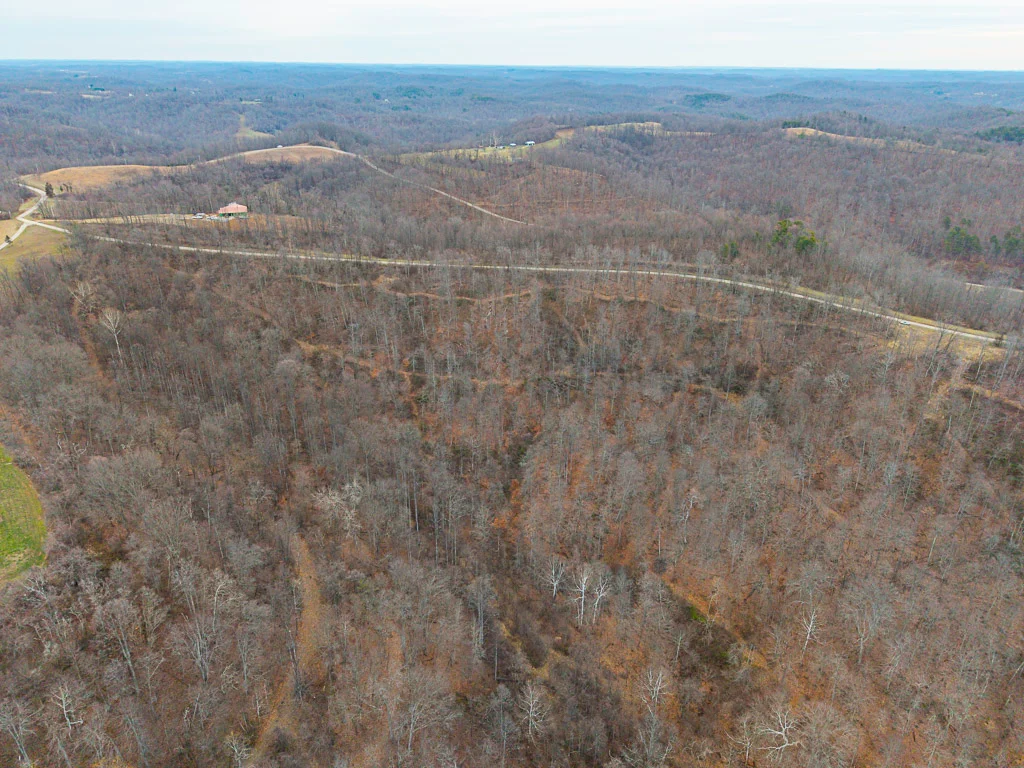 19 Acres in Washington County, Ohio - Reed Road - Photo 12