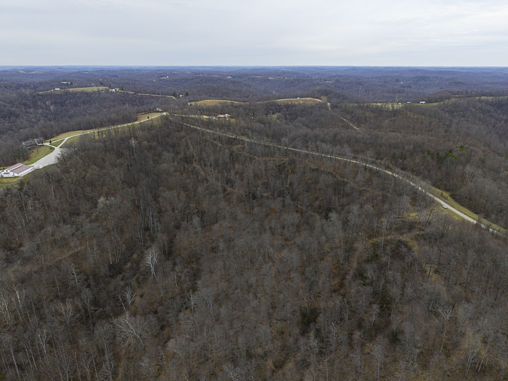 19 Acres in Washington County, Ohio - Reed Road - Photo 13
