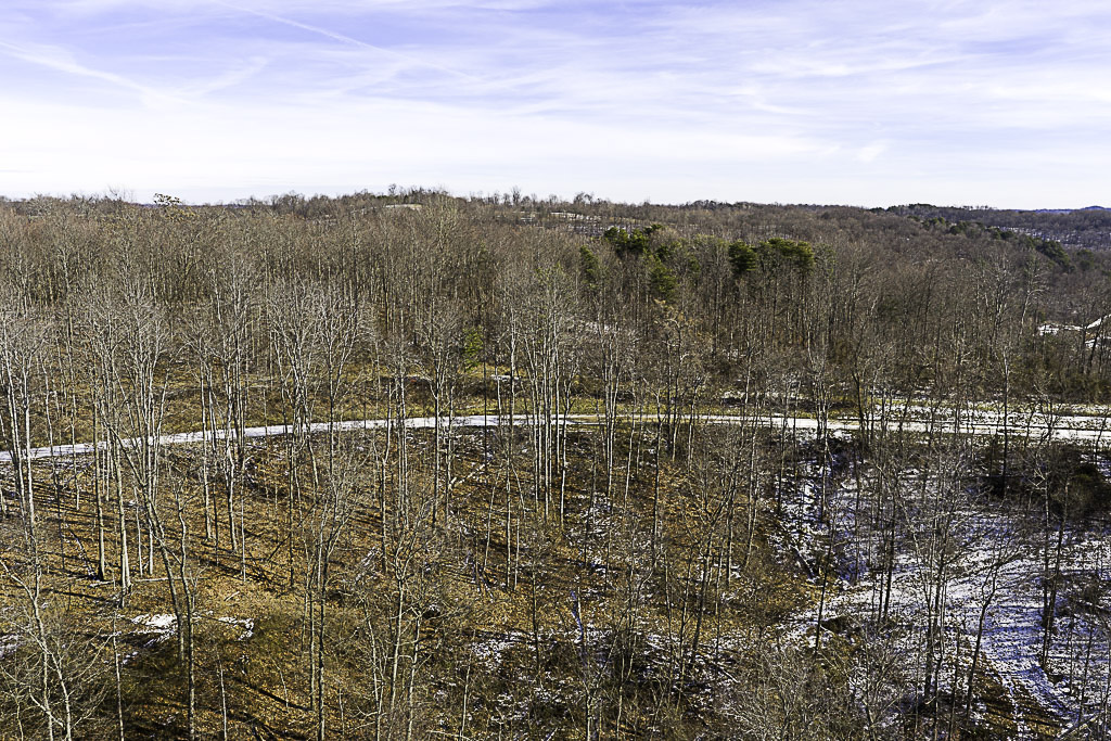 19 Acres in Washington County, Ohio - Reed Road - Photo 14