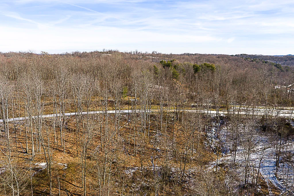 19 Acres in Washington County, Ohio - Reed Road - Photo 14