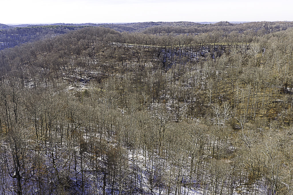 19 Acres in Washington County, Ohio - Reed Road - Photo 15