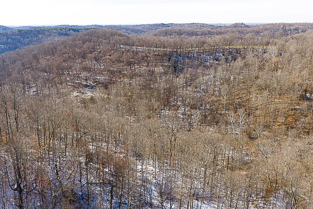 19 Acres in Washington County, Ohio - Reed Road - Photo 15