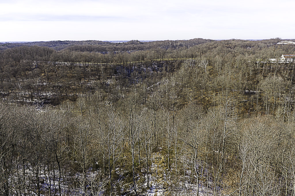 19 Acres in Washington County, Ohio - Reed Road - Photo 16