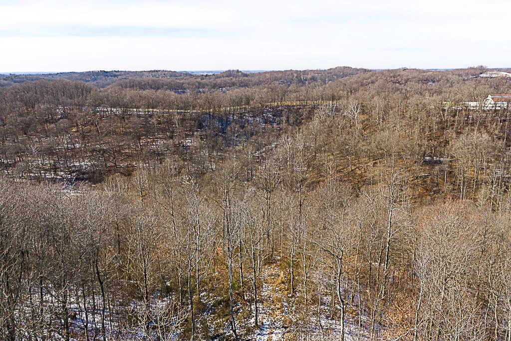 19 Acres in Washington County, Ohio - Reed Road - Photo 16