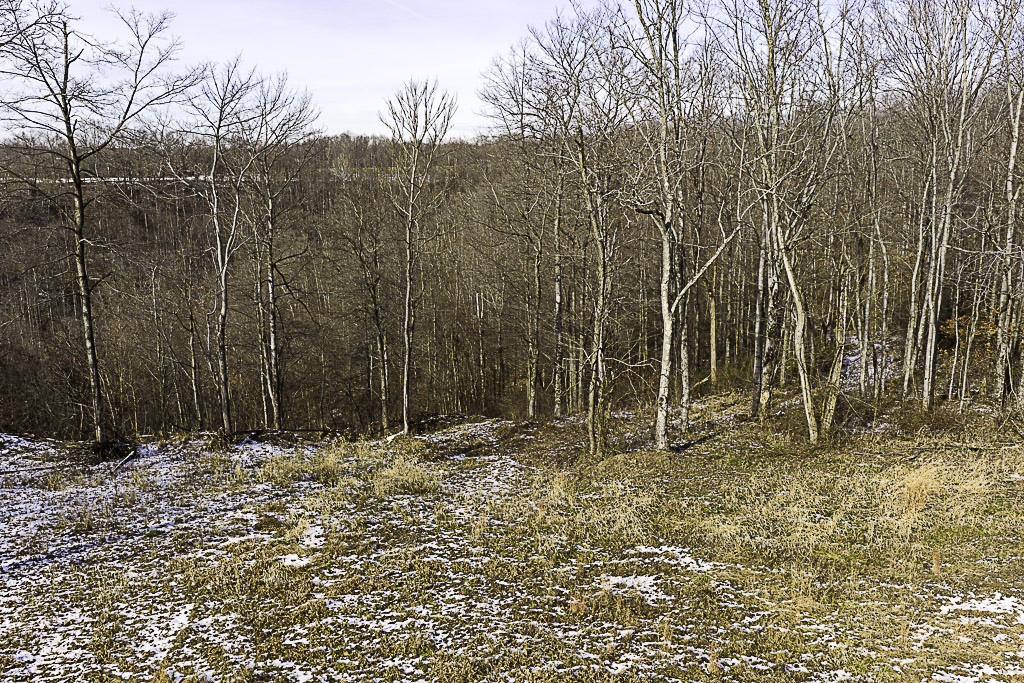 19 Acres in Washington County, Ohio - Reed Road - Photo 20