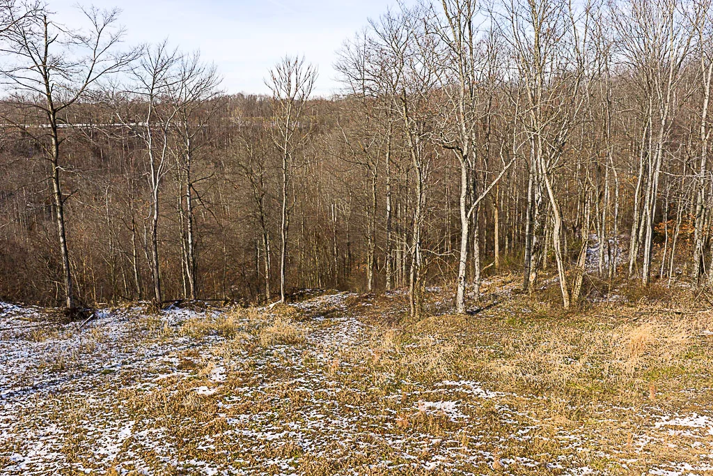 19 Acres in Washington County, Ohio - Reed Road - Photo 20