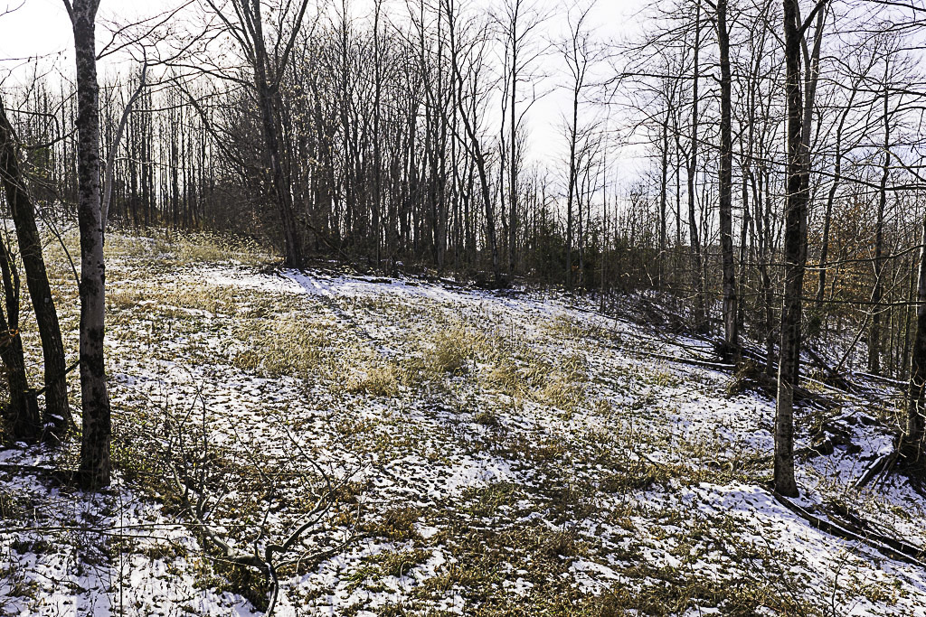 19 Acres in Washington County, Ohio - Reed Road - Photo 21