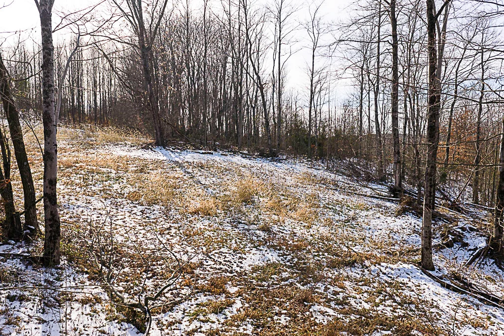 19 Acres in Washington County, Ohio - Reed Road - Photo 21