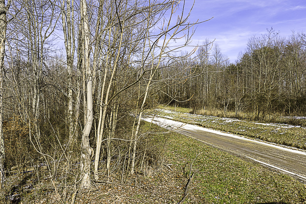 19 Acres in Washington County, Ohio - Reed Road - Photo 22