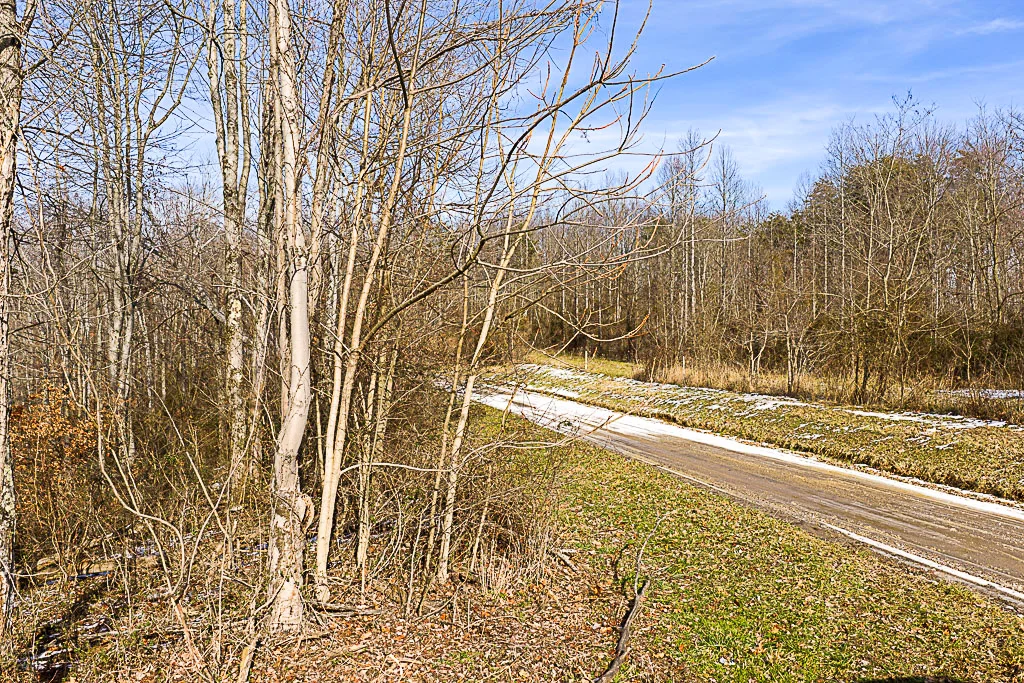 19 Acres in Washington County, Ohio - Reed Road - Photo 22
