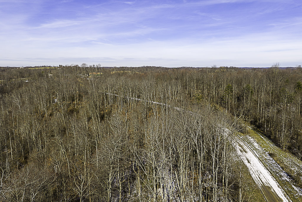 19 Acres in Washington County, Ohio - Reed Road - Photo 6