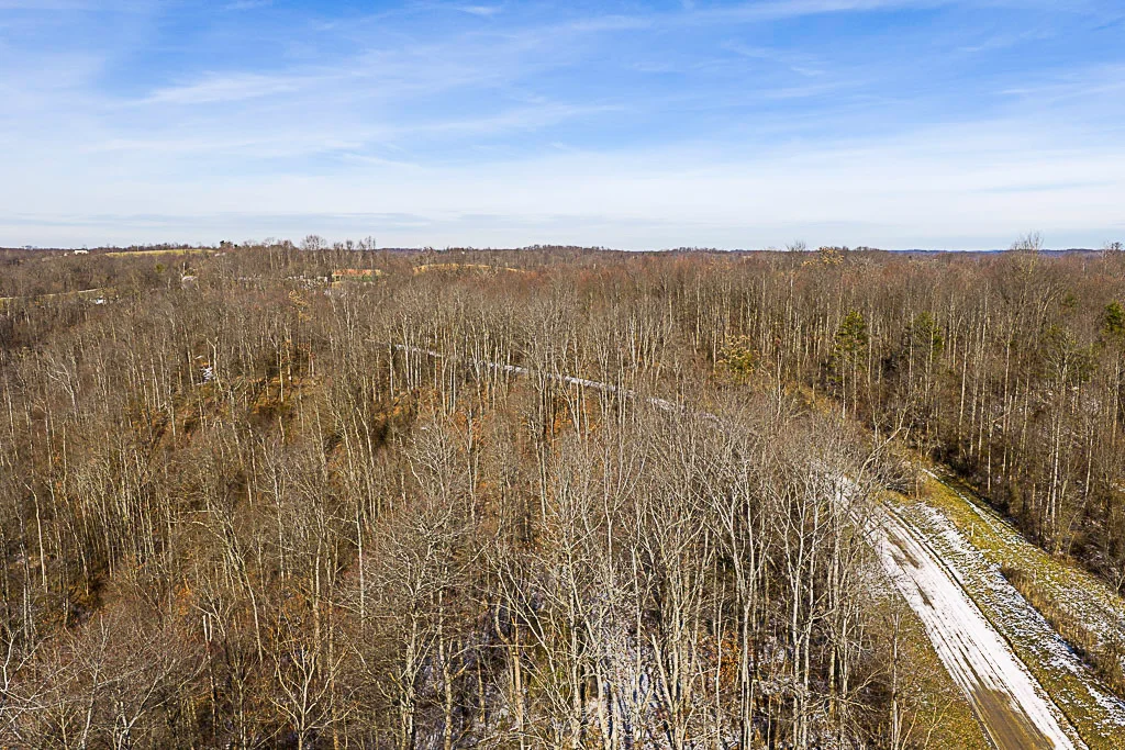 19 Acres in Washington County, Ohio - Reed Road - Photo 6