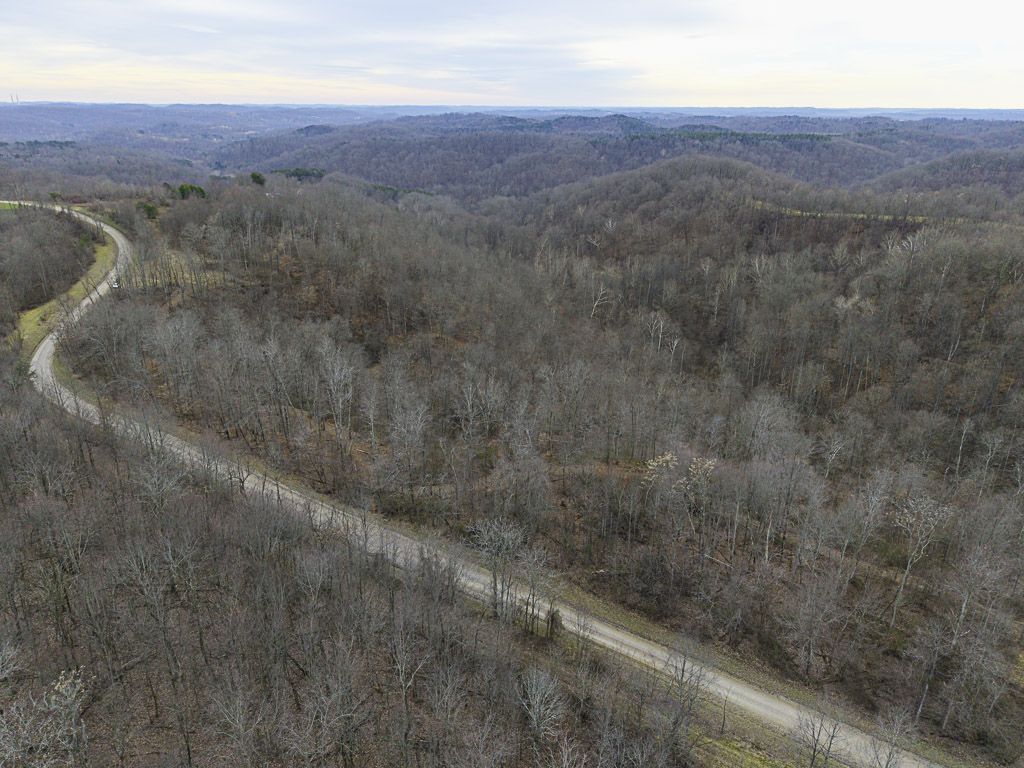 19 Acres in Washington County, Ohio - Reed Road - Photo 8