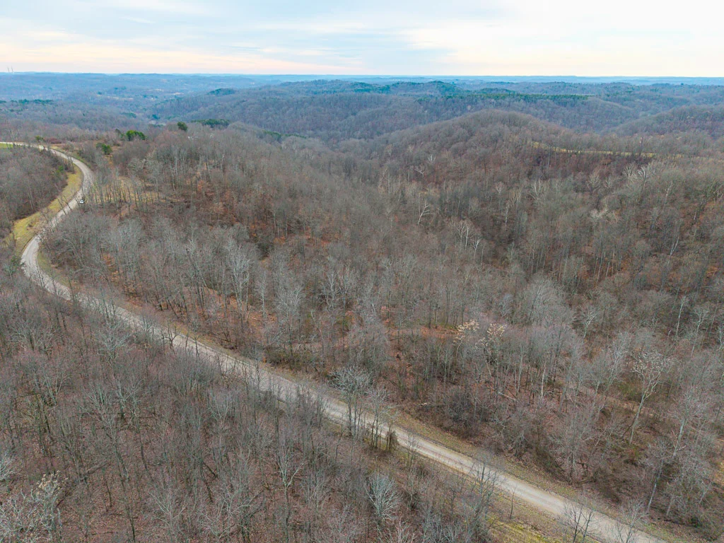 19 Acres in Washington County, Ohio - Reed Road - Photo 8