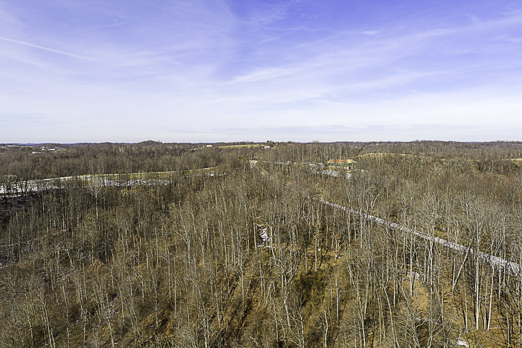 19 Acres in Washington County, Ohio - Reed Road - Photo 10