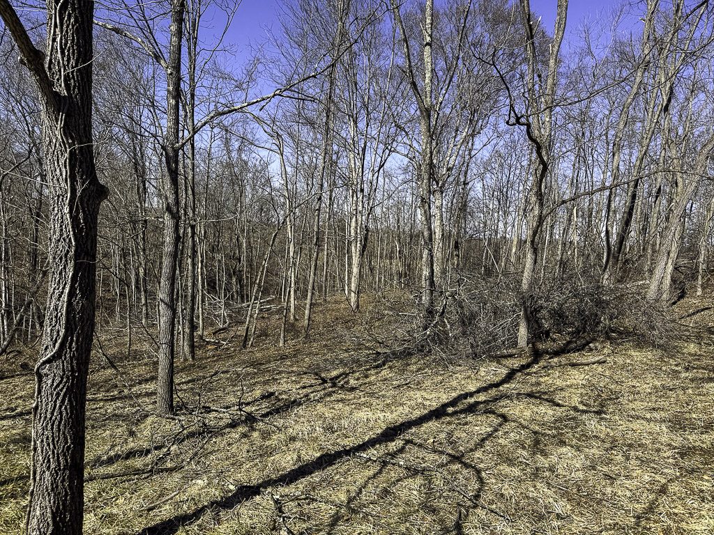 0 SR 376 Tract 6 - 24.3 Acres in Morgan County, OH - Photo 11