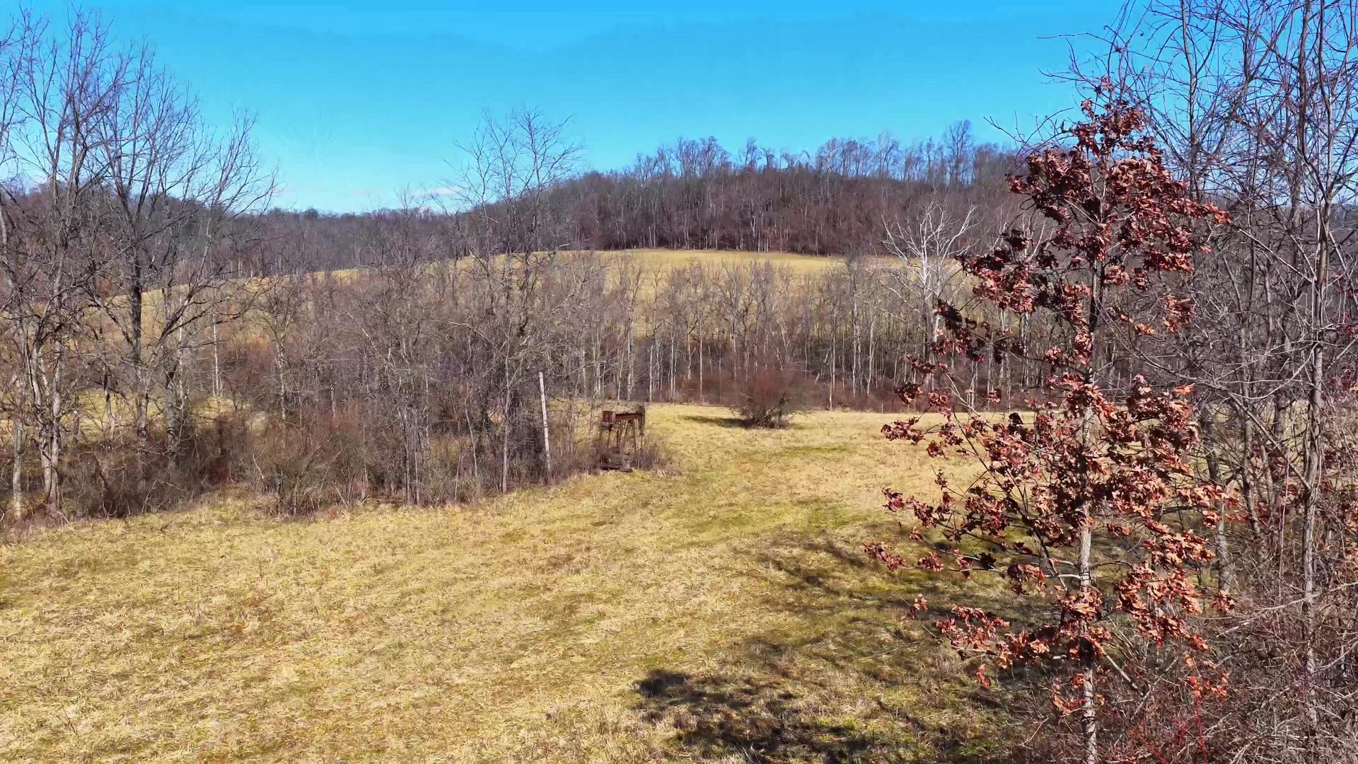 0 SR 376 Tract 6 - 24.3 Acres in Morgan County, OH - Photo 5