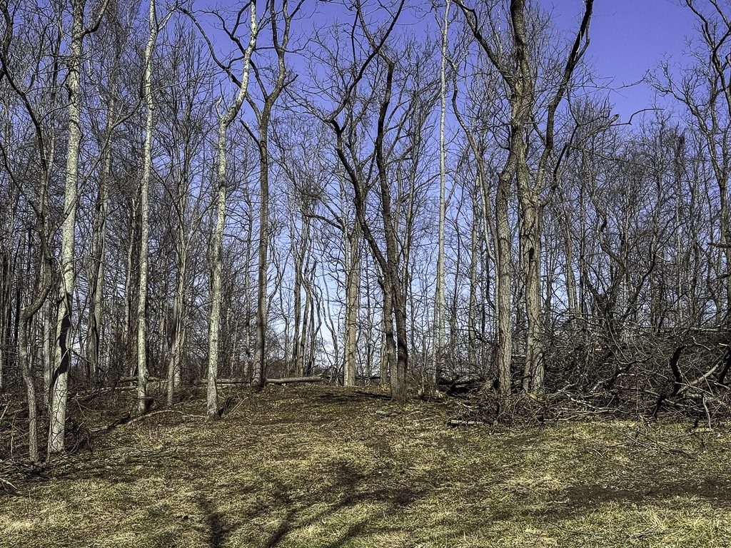 0 SR 376 Tract 6 - 24.3 Acres in Morgan County, OH - Photo 6