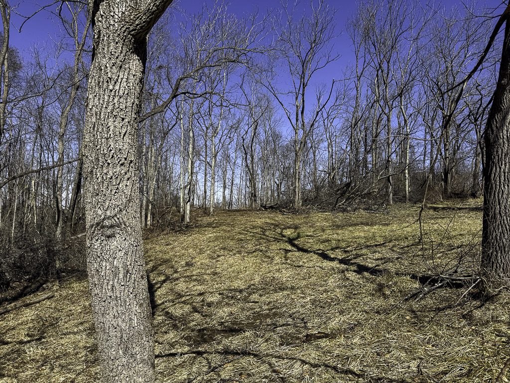 0 SR 376 Tract 6 - 24.3 Acres in Morgan County, OH - Photo 7