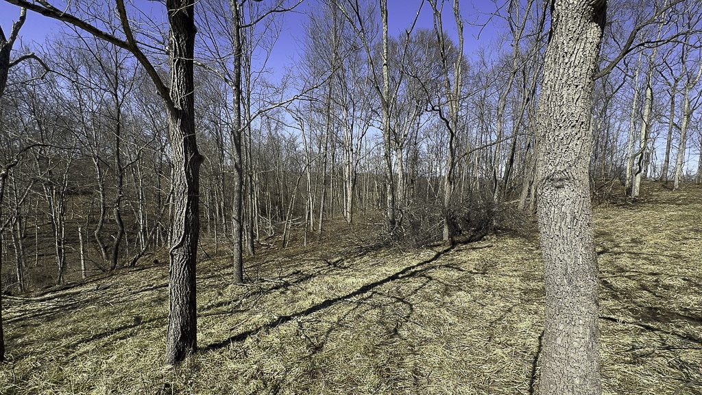 0 SR 376 Tract 6 - 24.3 Acres in Morgan County, OH - Photo 8