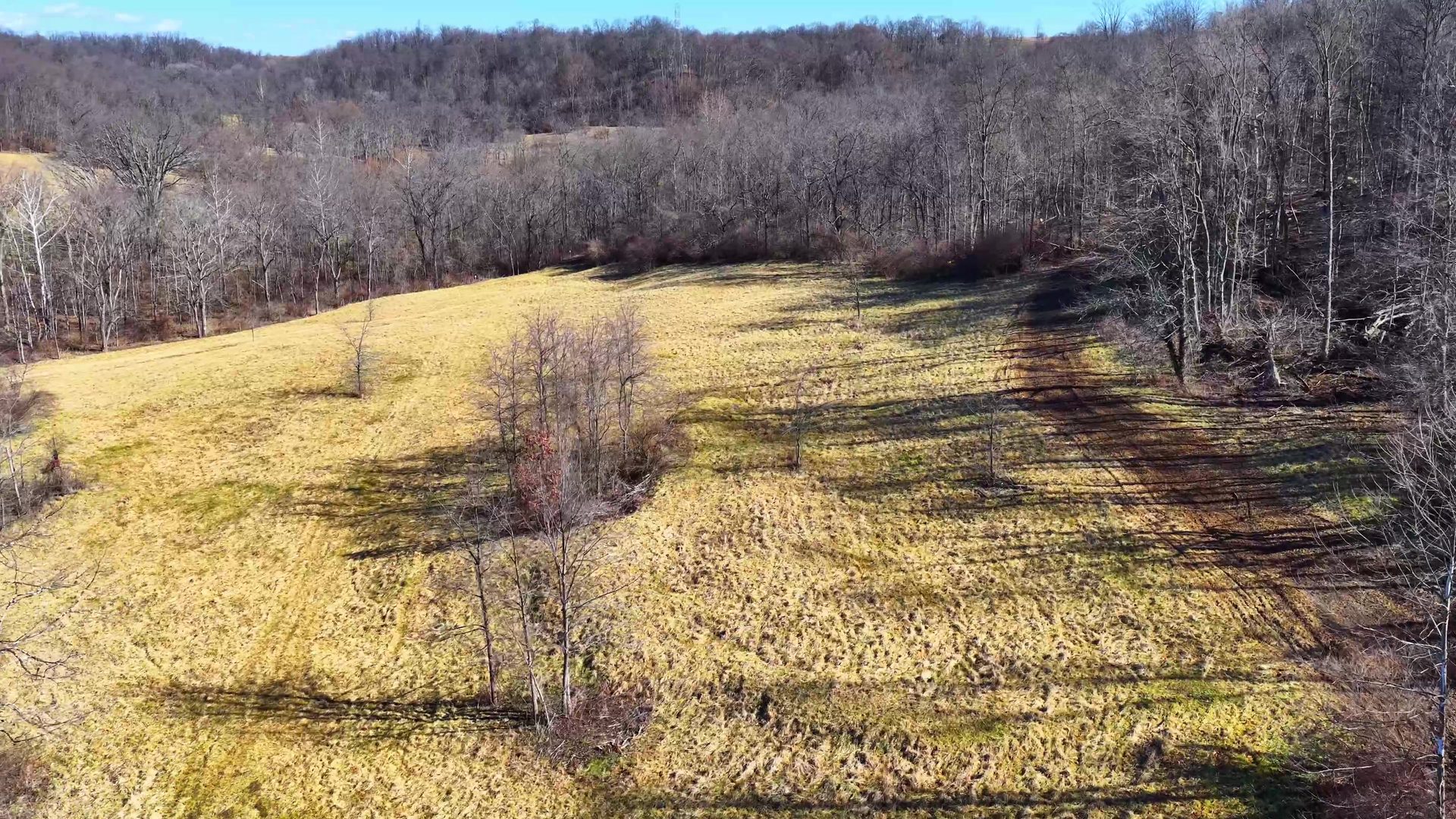 0 SR 376 Tract 6 - 24.3 Acres in Morgan County, OH - Photo 10