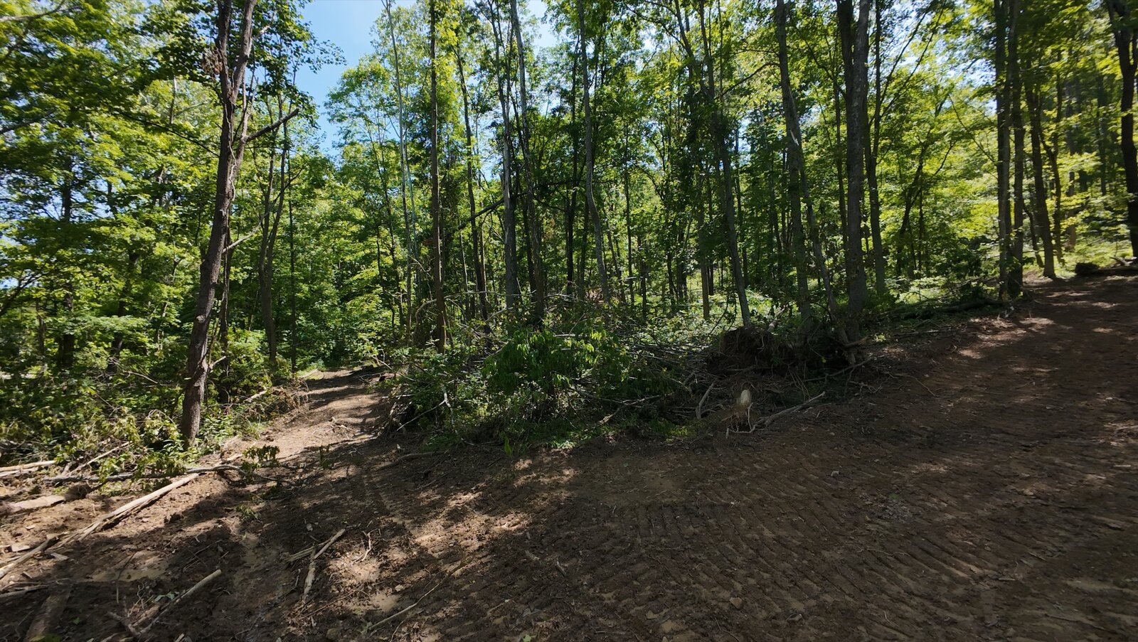 0 Moats Hollow Rd - 24 Acres in Pike County, OH - Photo 11