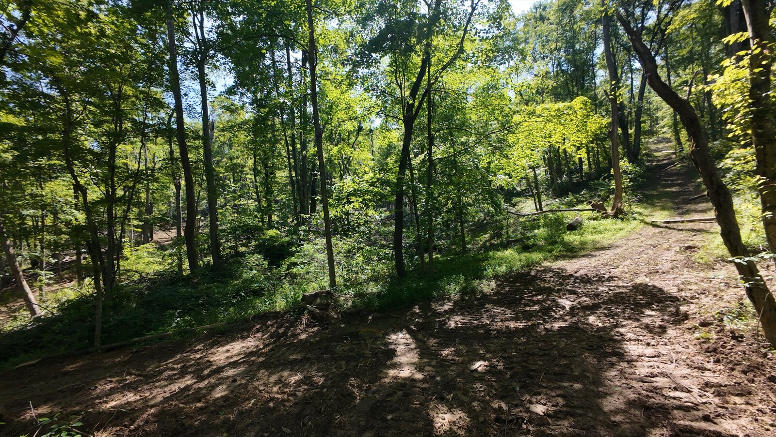 0 Moats Hollow Rd - 24 Acres in Pike County, OH - Photo 12