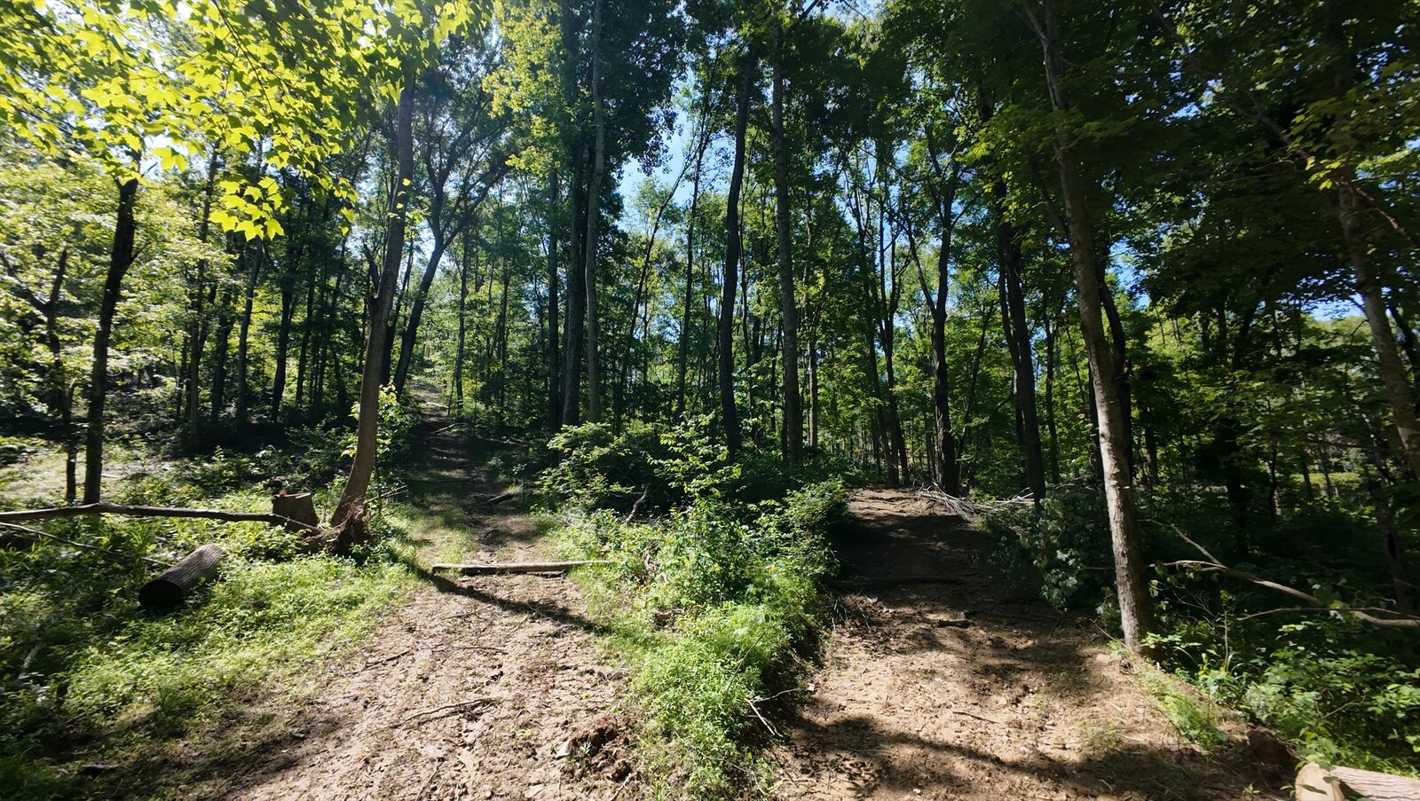 0 Moats Hollow Rd - 24 Acres in Pike County, OH - Photo 13