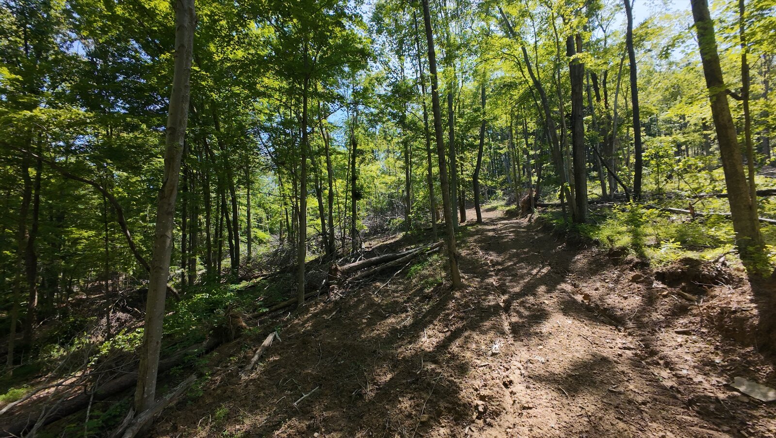 0 Moats Hollow Rd - 24 Acres in Pike County, OH - Photo 14