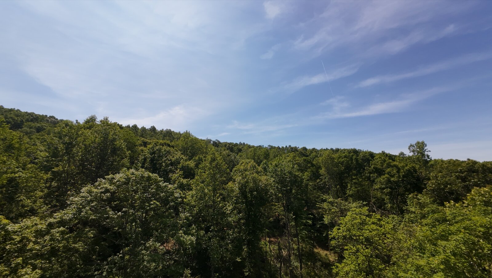 0 Moats Hollow Rd - 24 Acres in Pike County, OH - Photo 16