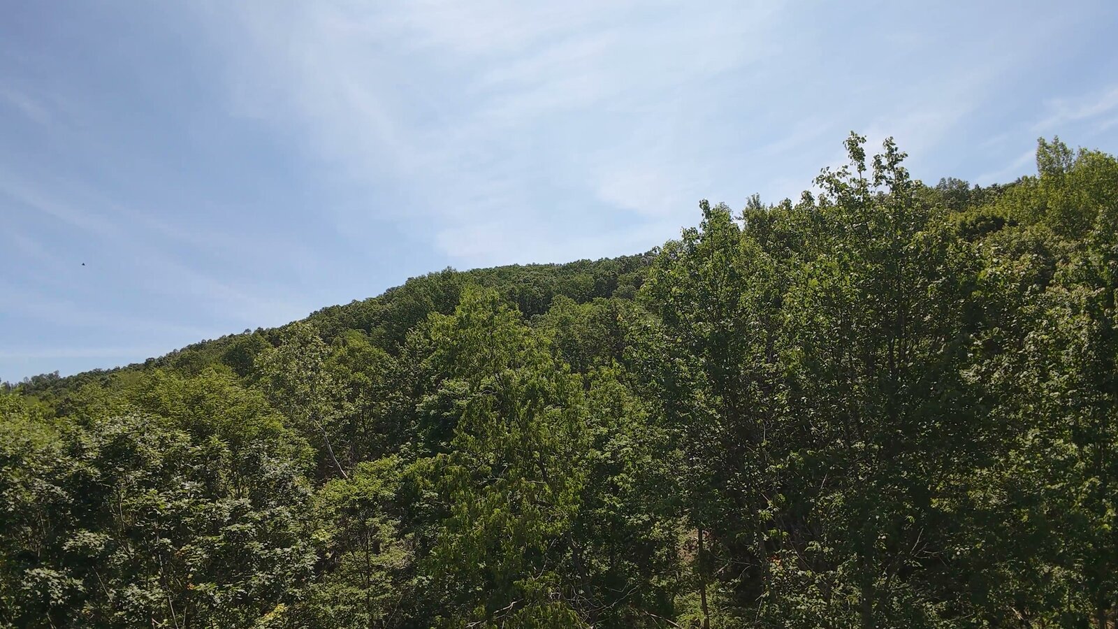 0 Moats Hollow Rd - 24 Acres in Pike County, OH - Photo 17