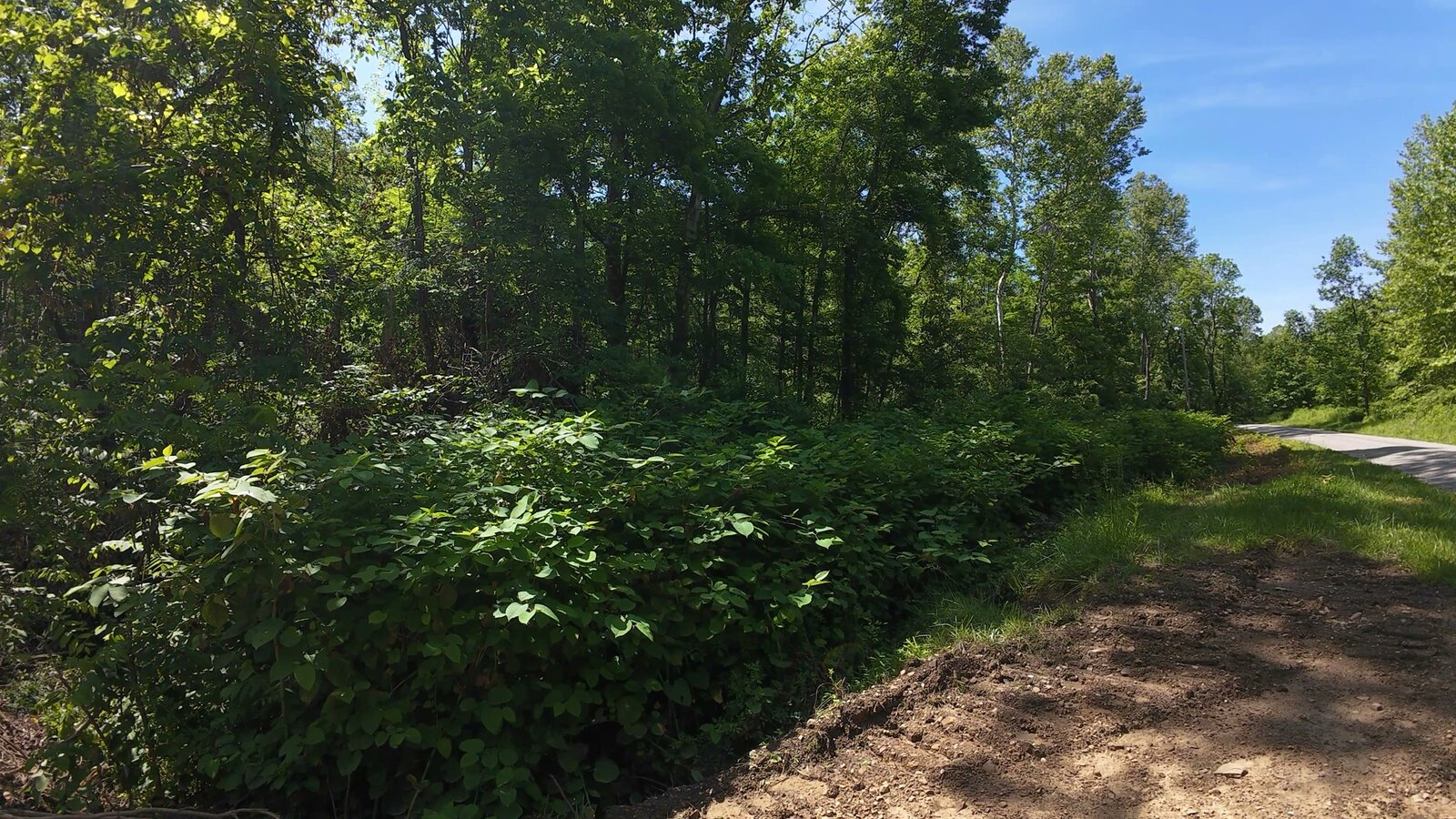 0 Moats Hollow Rd - 24 Acres in Pike County, OH - Photo 18