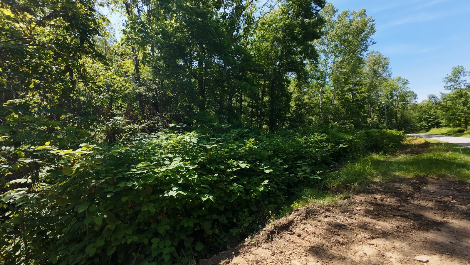 0 Moats Hollow Rd - 24 Acres in Pike County, OH - Photo 19