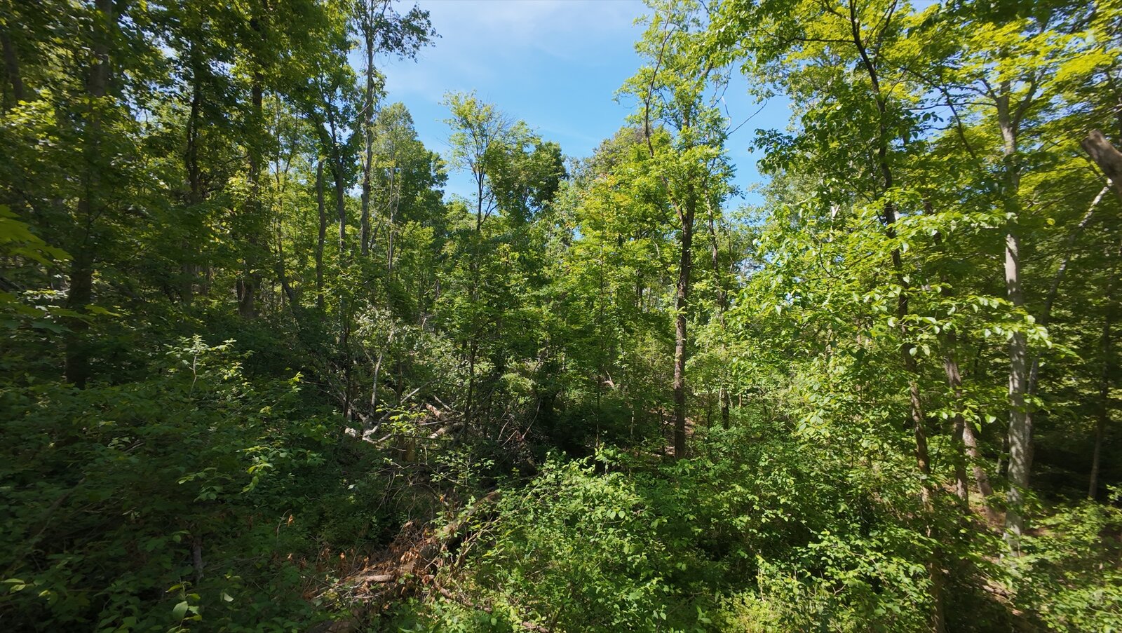0 Moats Hollow Rd - 24 Acres in Pike County, OH - Photo 20