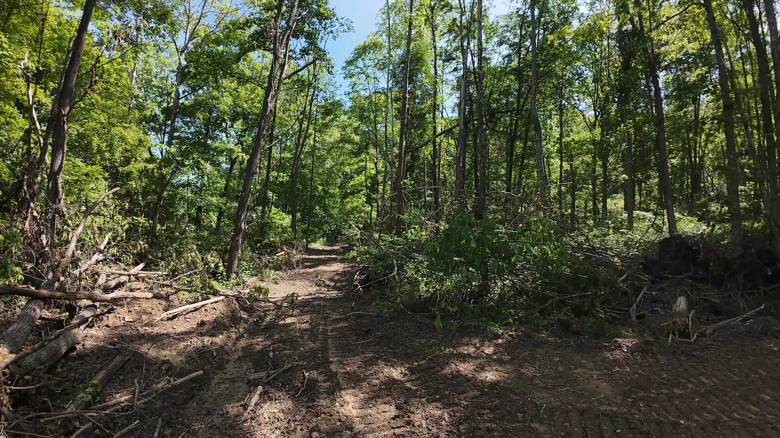 0 Moats Hollow Rd - 24 Acres in Pike County, OH - Photo 3