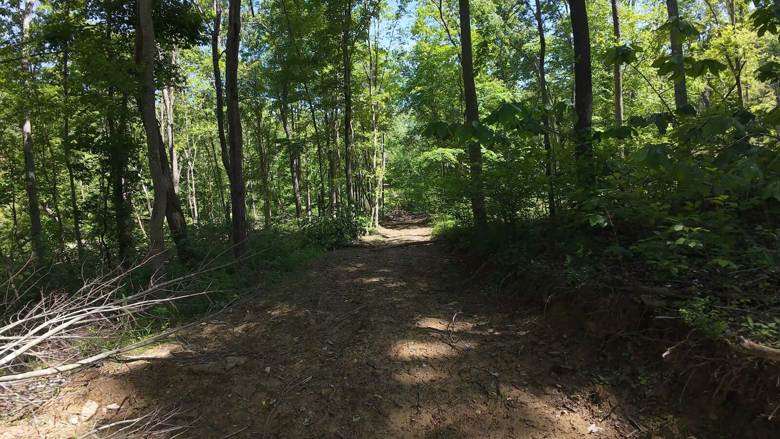 0 Moats Hollow Rd - 24 Acres in Pike County, OH - Photo 22